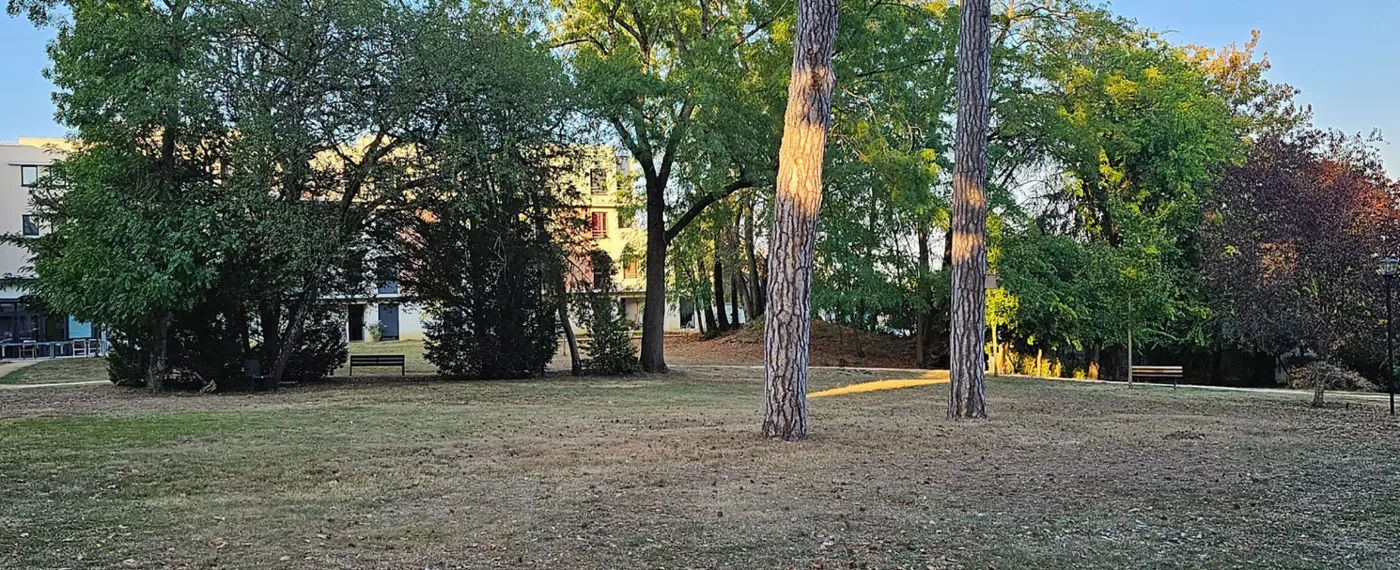 Le parc centenaire de la Résidence du Parc à Nevers : grands arbres, pelouse et feuillages d’automne devant les bâtiments