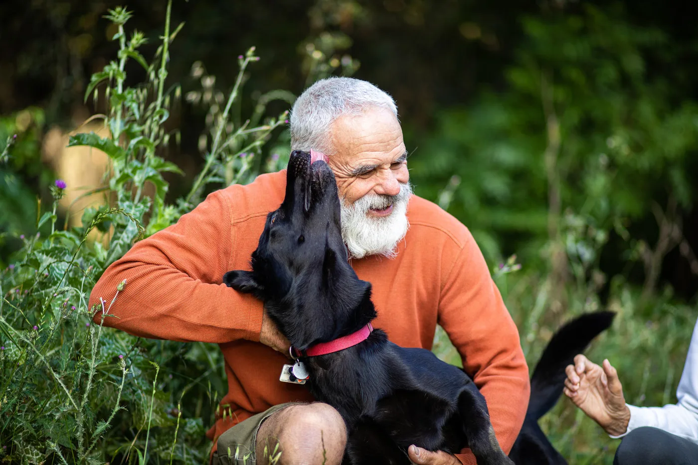 Un homme âgé en pull orange rit dans un jardin, un chien noir au collier rose contre son visage